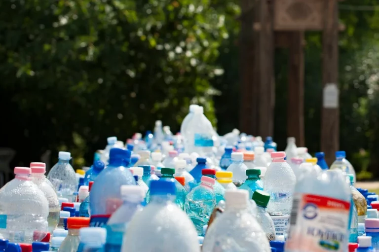 مشاريع إعادة التدوير المربحة
